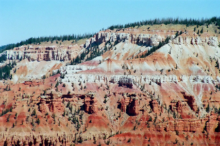 [Layers of rock getting progressively lighter from bottom to top of photo. Rock is topped by a pine forest.]